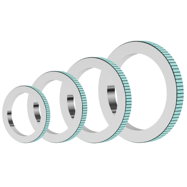 RMSI and RMSN Rotary Magnetic Scale Standard Programme